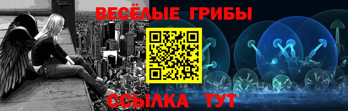 где найти наркотики  Галлюциногенные грибы ЛСД  Вход с VPN  Петропавловск-Камчатский  Галлюциногенные грибы Cubensis 